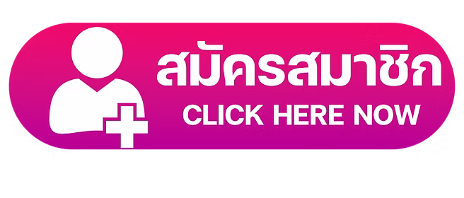 ปุ่มสมัครสมาชิก2026